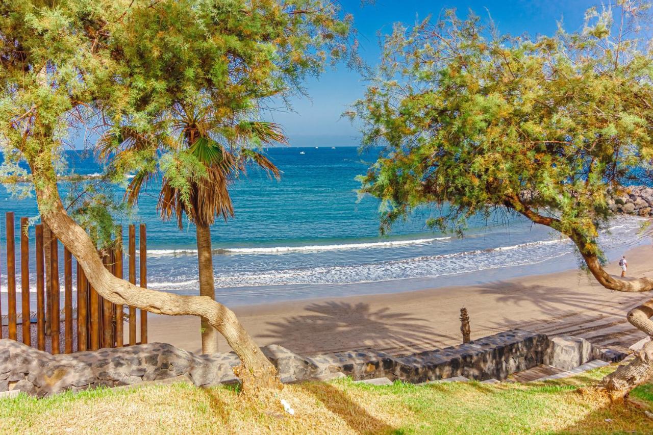 Fantastic Large Studio In Front Of Beach Heated Pool Wifi Arona  Εξωτερικό φωτογραφία
