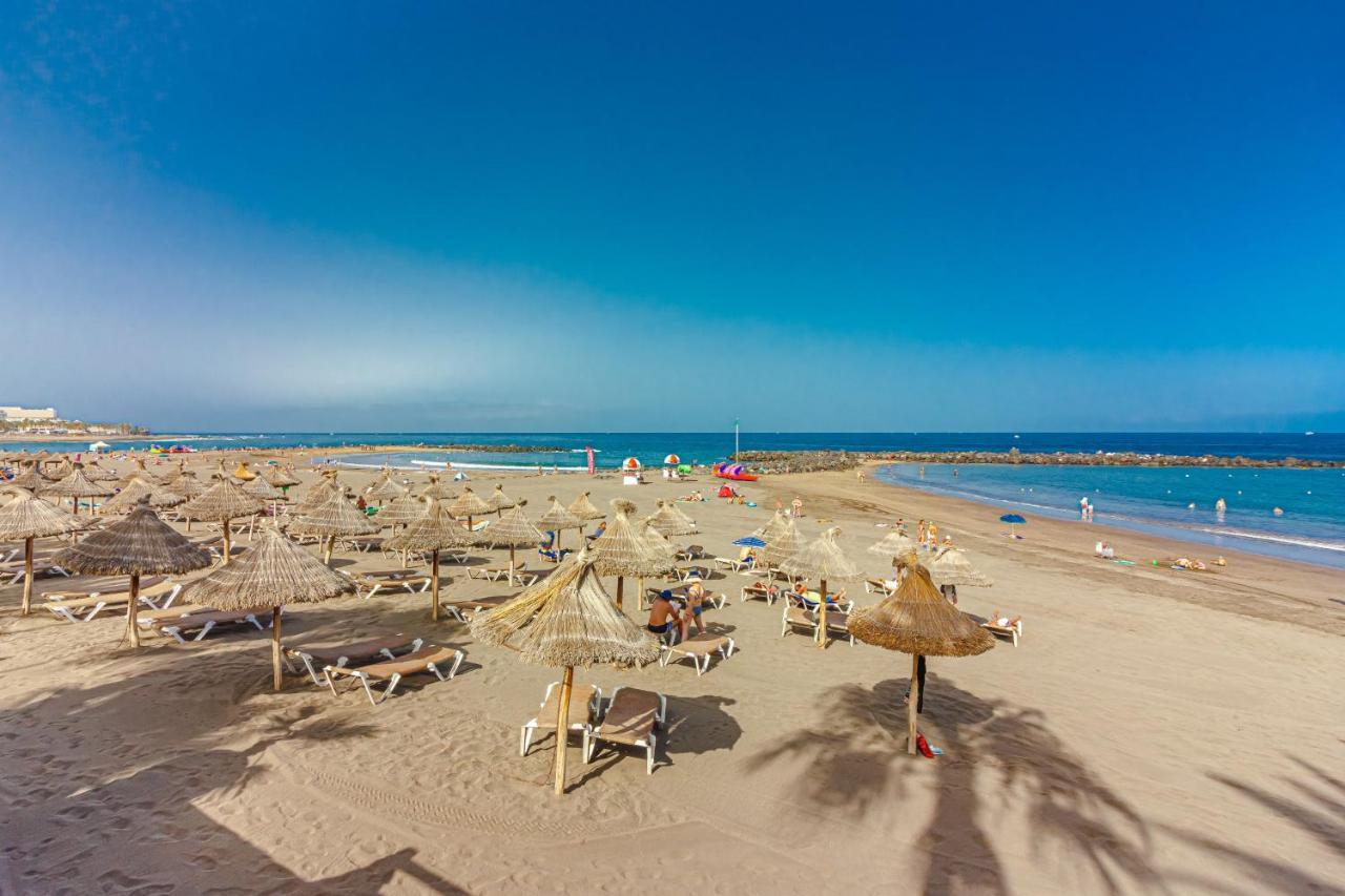 Fantastic Large Studio In Front Of Beach Heated Pool Wifi Arona  Εξωτερικό φωτογραφία